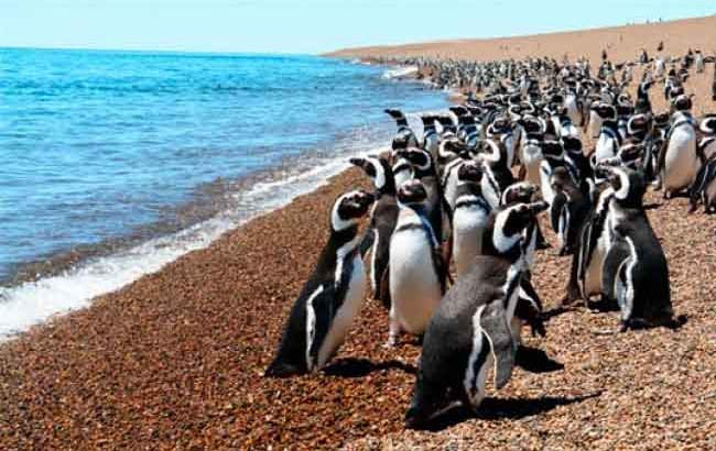 Puerto Madryn