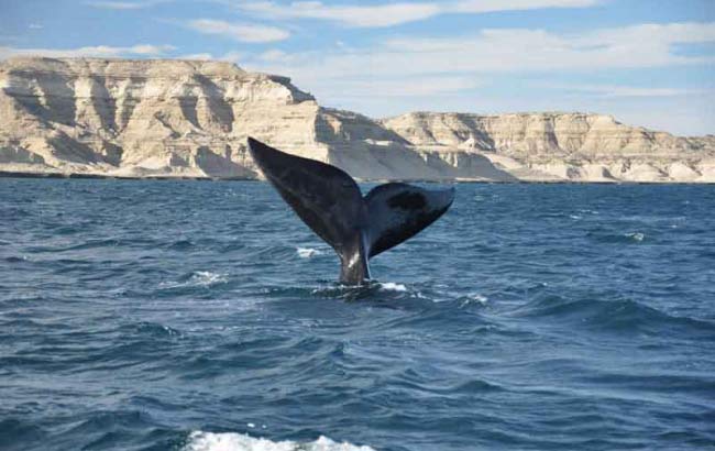 Puerto Madryn