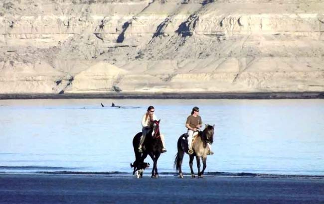 Kayak y Cabalgata