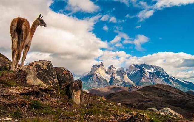 Torres del Paine Tour