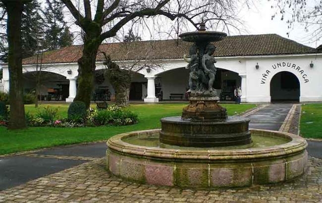 Undurraga Wine Tour