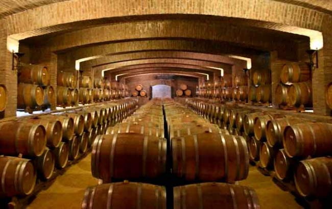 Undurraga Wine Tour