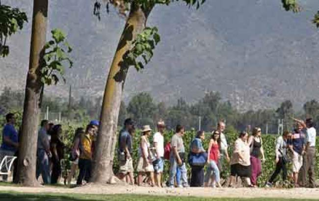 Undurraga Wine Tour