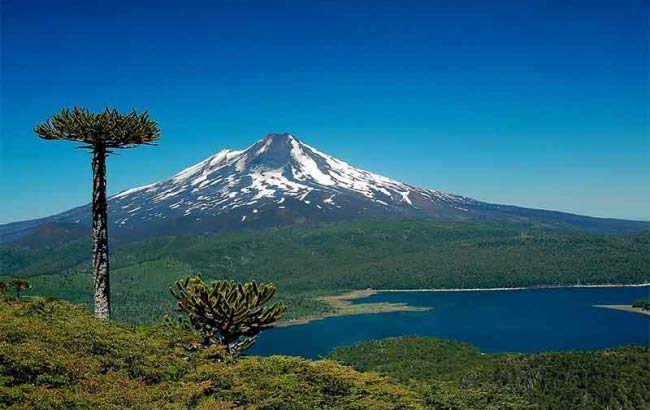 Conguillio National Park