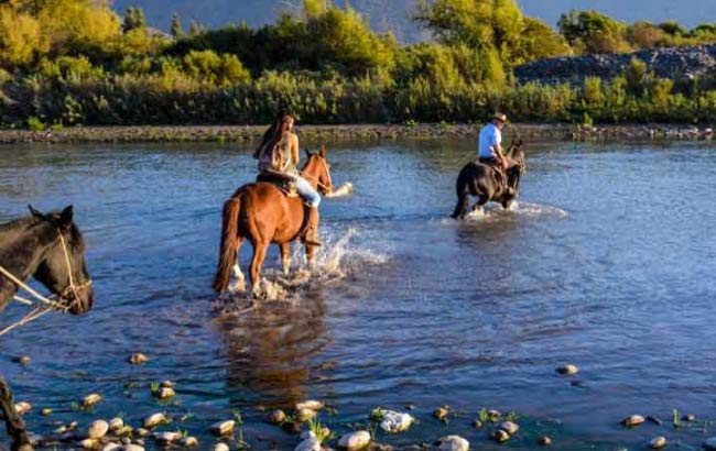 Horseback Riding Mapuche