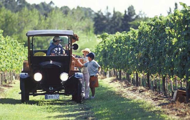 Tour de Vino 
